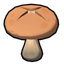 Button Shroom